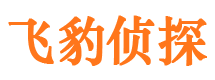 施甸寻人公司